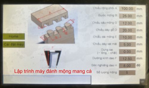 Lập trình máy đánh mộng mang cá