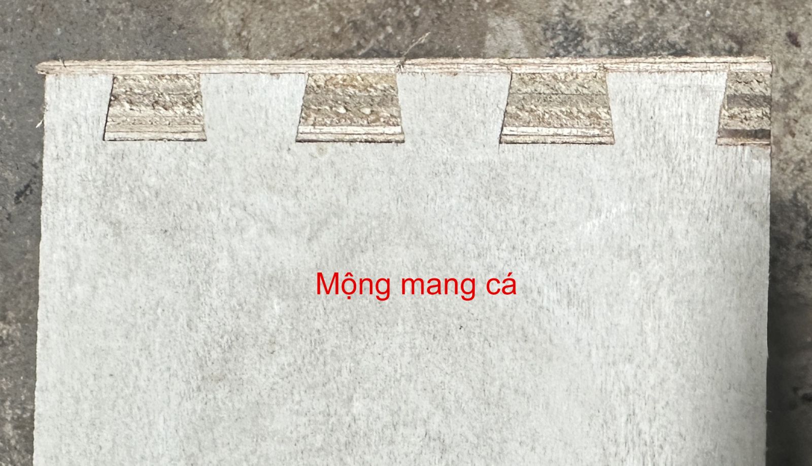 Mộng mang cá 2