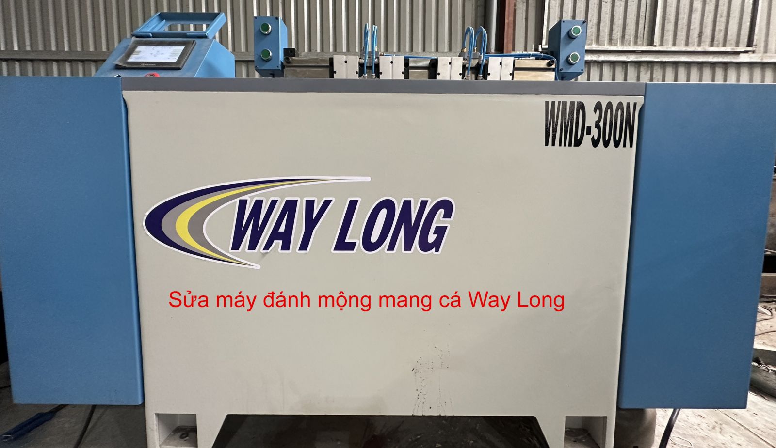 Sửa máy đánh mộng mang cá tại Bình Dương 1